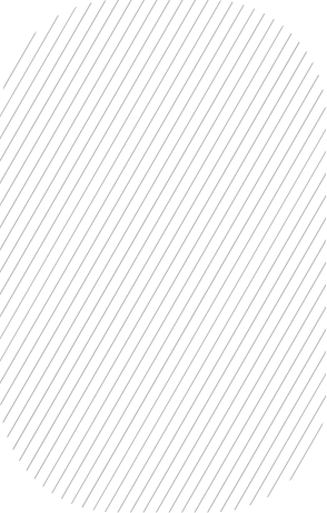 net