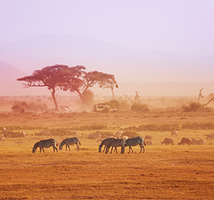 Kenya