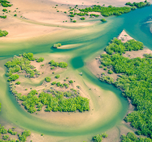 Senegal