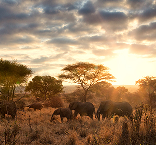 Tanzania