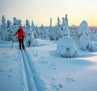 Finland